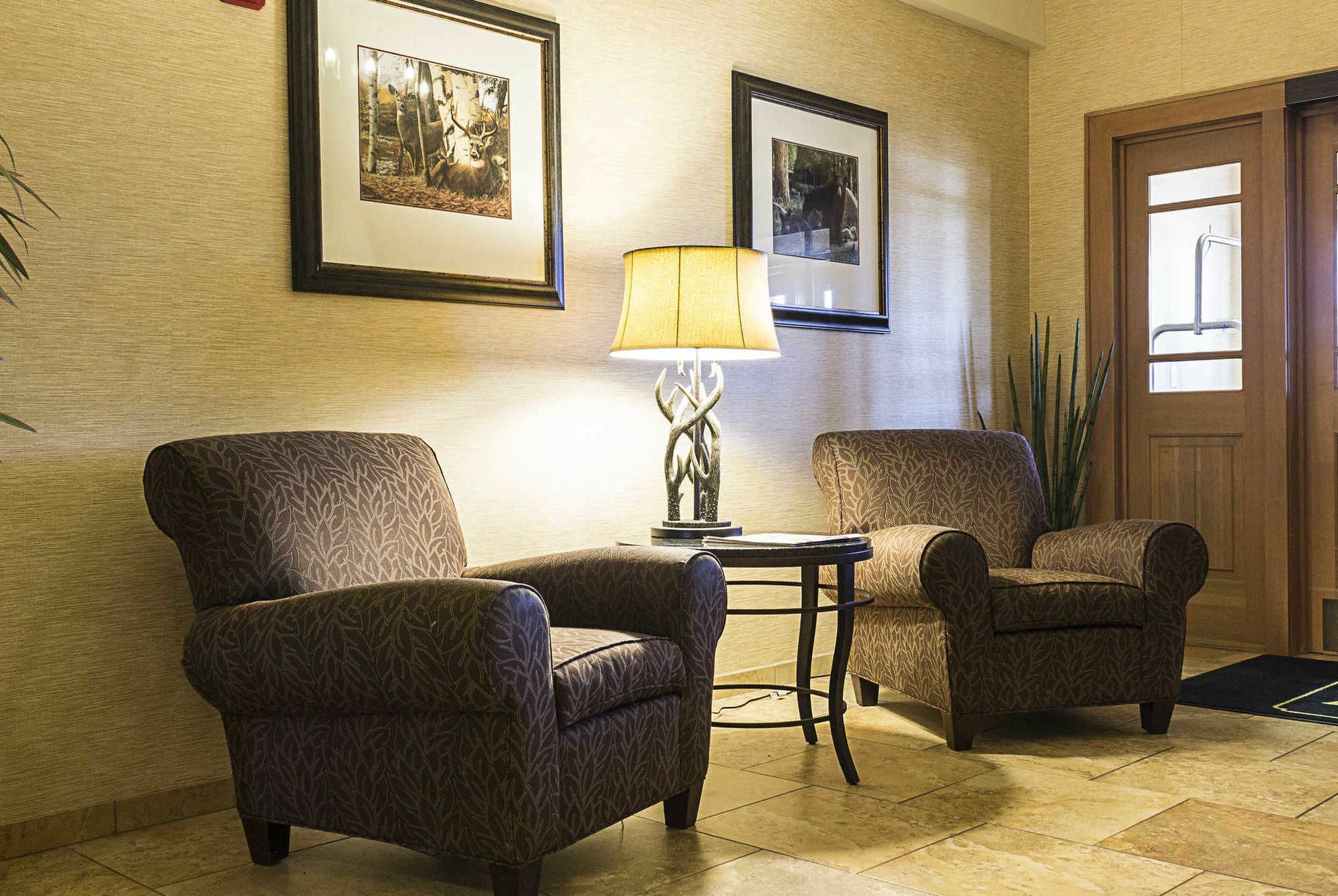 Mainstay Suites Williston Extérieur photo